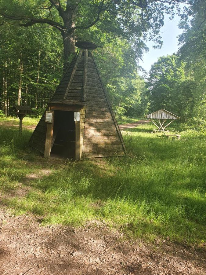 Ferienhaus Margarete Dankerode  エクステリア 写真